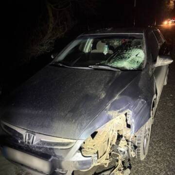 На Вінниччині вчора під колесами авто загинула пенсіонерка