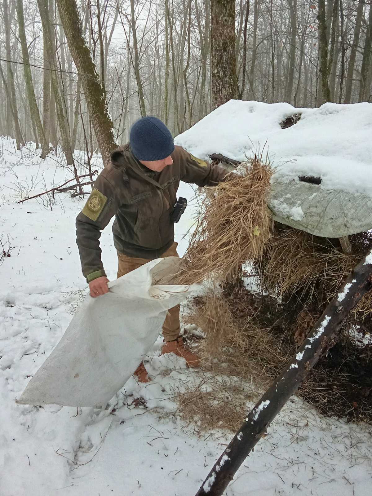 Лісова їдальня: як на Вінниччині підгодовують диких звірів у морози