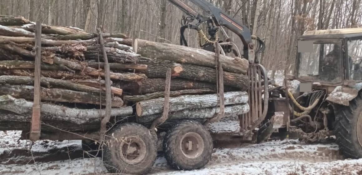 Викрили вивезення деревини без документів із Вороновицького лісництва