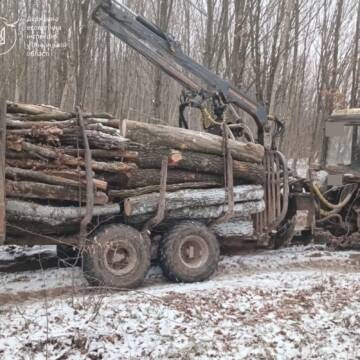 Викрили вивезення деревини без документів із Вороновицького лісництва