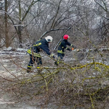 Рятувальники Вінниччини ліквідовують наслідки негоди: допомога водіям і медикам
