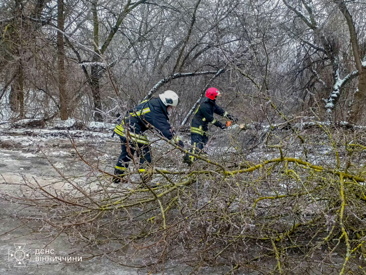Рятувальники Вінниччини ліквідовують наслідки негоди: допомога водіям і медикам