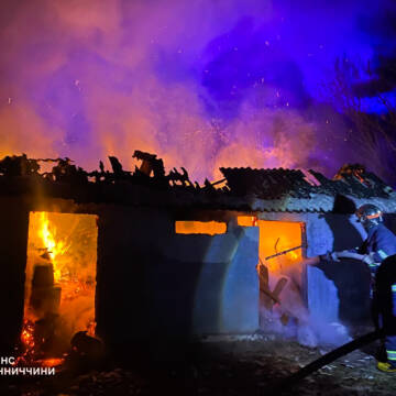 ДСНС Вінниччини за добу ліквідувала 9 пожеж