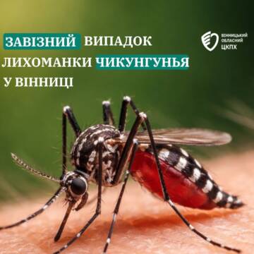 У Вінниці зафіксовано випадок гарячки Чикунгунья