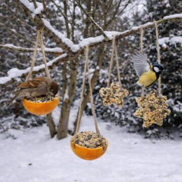 Пташиний ресторан: як зробити стильну та корисну екогодівничку