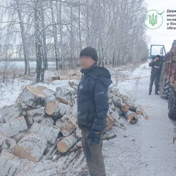 617719870_1327876436030922_3617183137010874458_n Нищили лісосмугу трактором і пилами: у Липовецькій громаді виявили незаконну вирубку