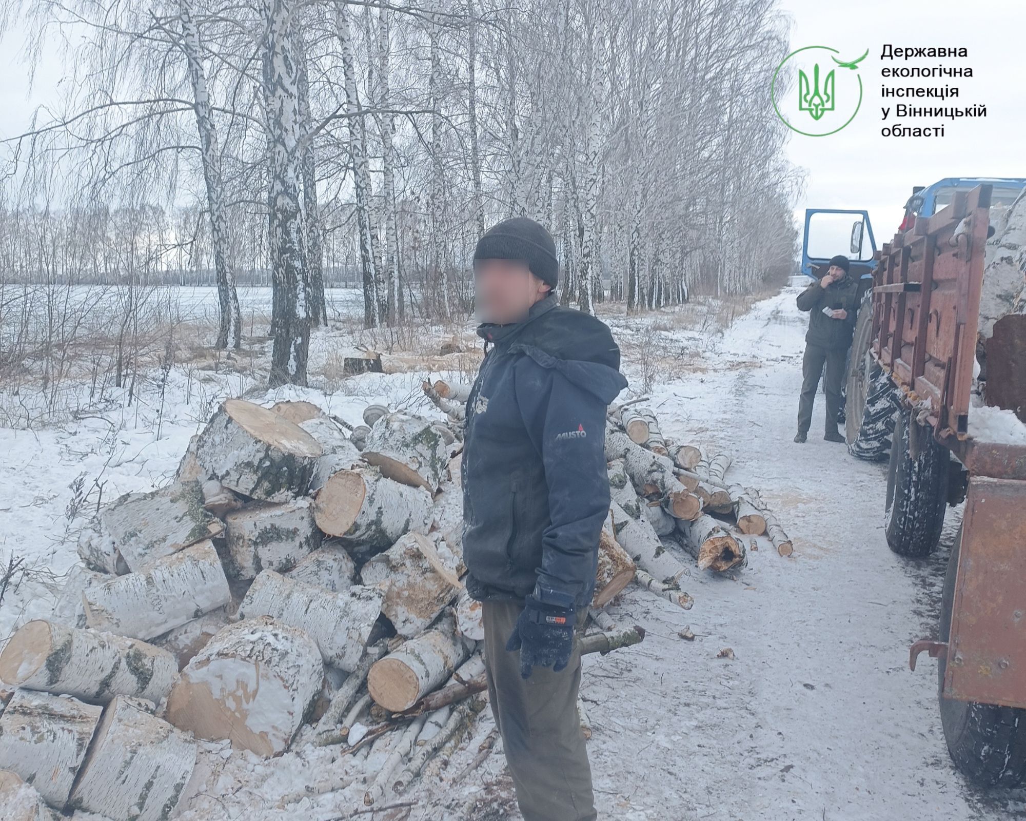 Нищили лісосмугу трактором і пилами: у Липовецькій громаді виявили незаконну вирубку