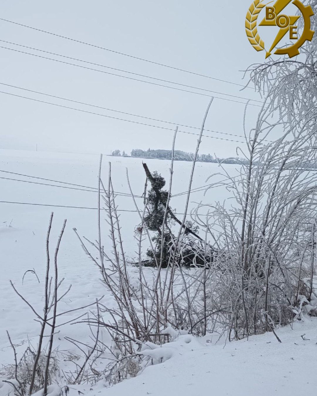 Енергетики Вінниччини працюють у посиленому режимі через наслідки негоди