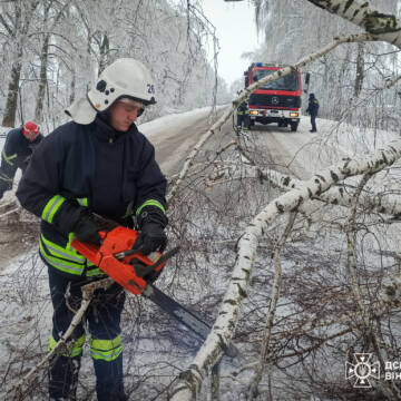 623811862_1374391678033718_3916037183387435405_n Наслідки негоди: рятувальники Вінниччини 14 разів виїжджали розчищати дороги від дерев