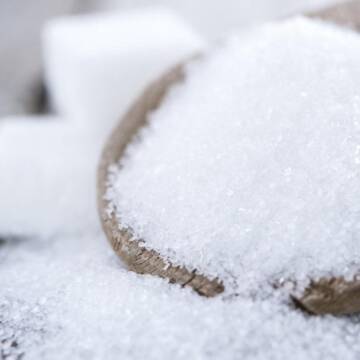 Сезон цукроваріння у Вінницькій області завершено: аграрії підбили підсумки роботи