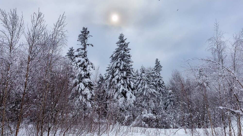 15 січня у Вінниці очікується сніг та мороз