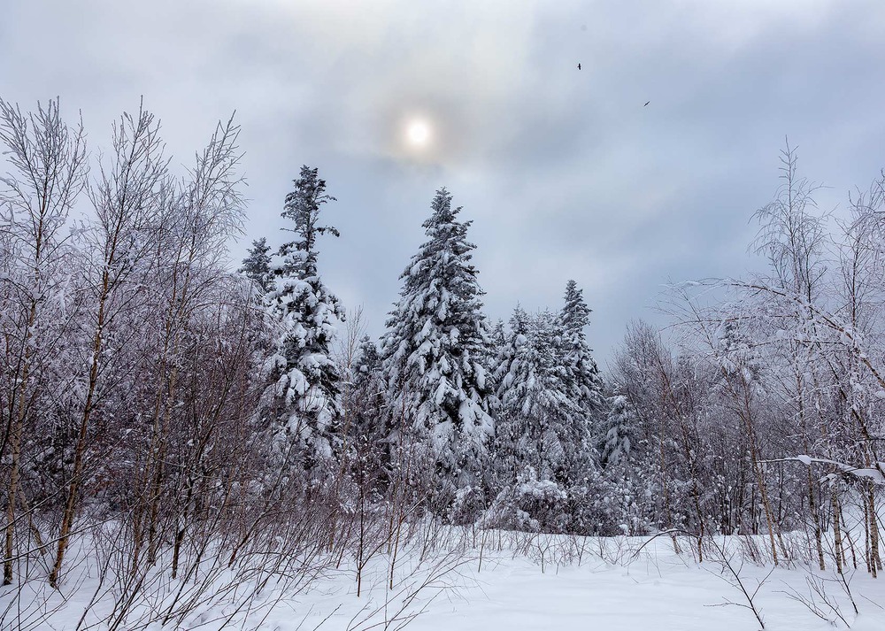 15 січня у Вінниці очікується сніг та мороз