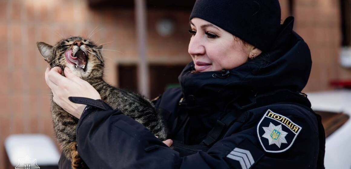 Поліцейські допомагають чотирилапим безхатькам пережити морози