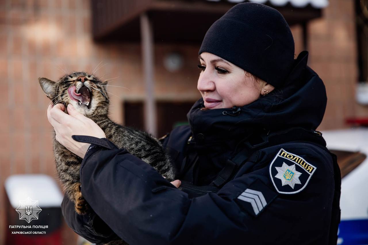 Поліцейські допомагають чотирилапим безхатькам пережити морози