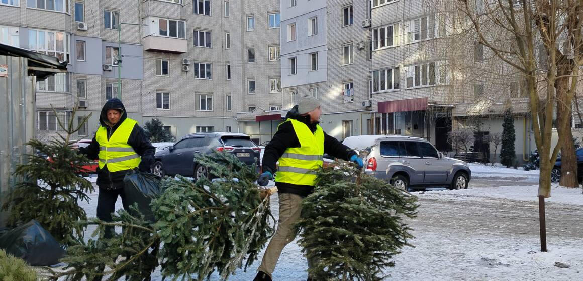 У Вінниці вже зібрали 9 вантажівок ялинок, які перетворять на паливо