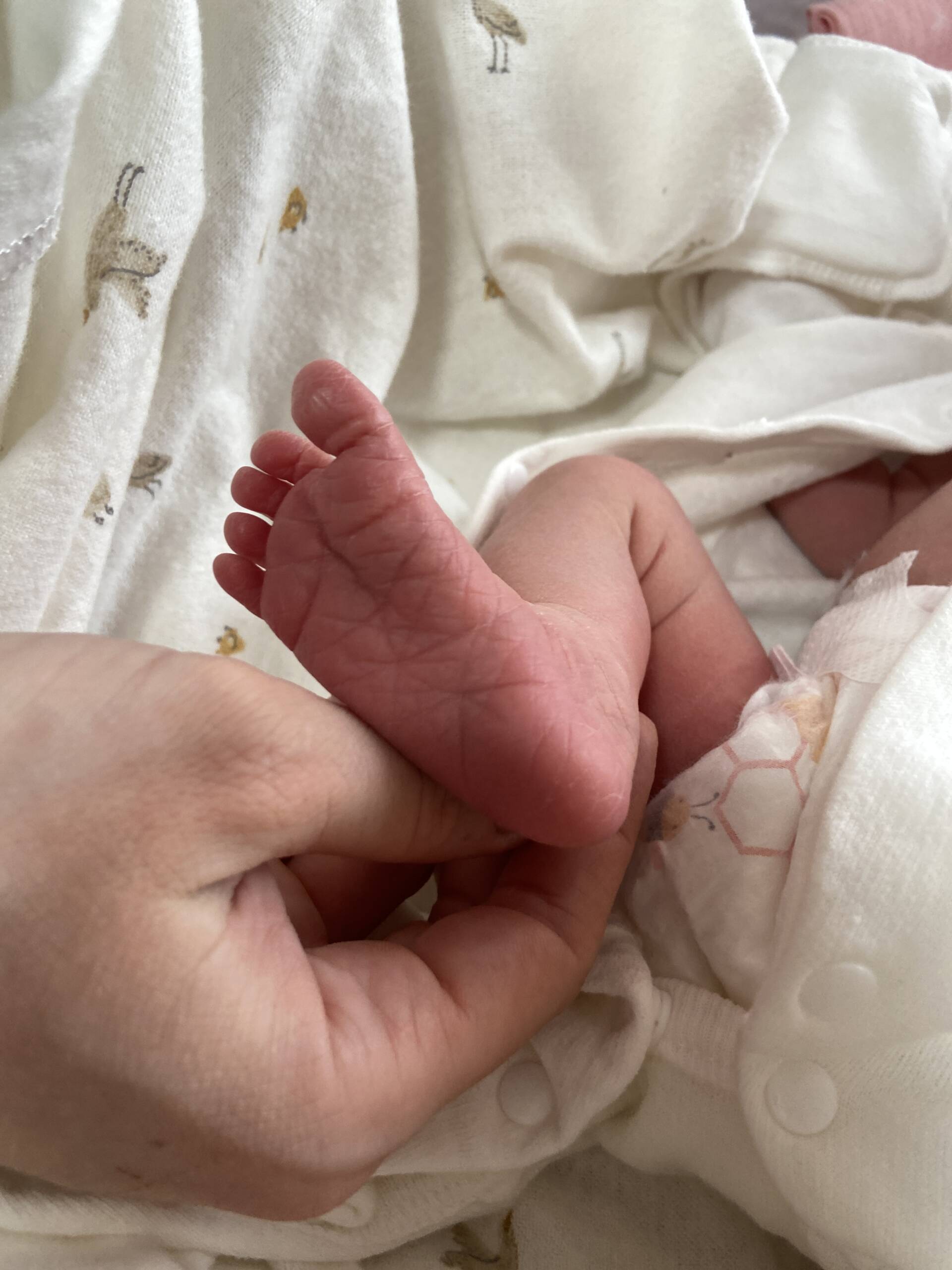 Перші вінничани 2026 року: підрахували кількість новонароджених 1 січня