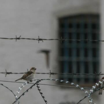Чоловіку загрожує 15 років за передачу інформації про обстріли на Вінниччині та Одещині