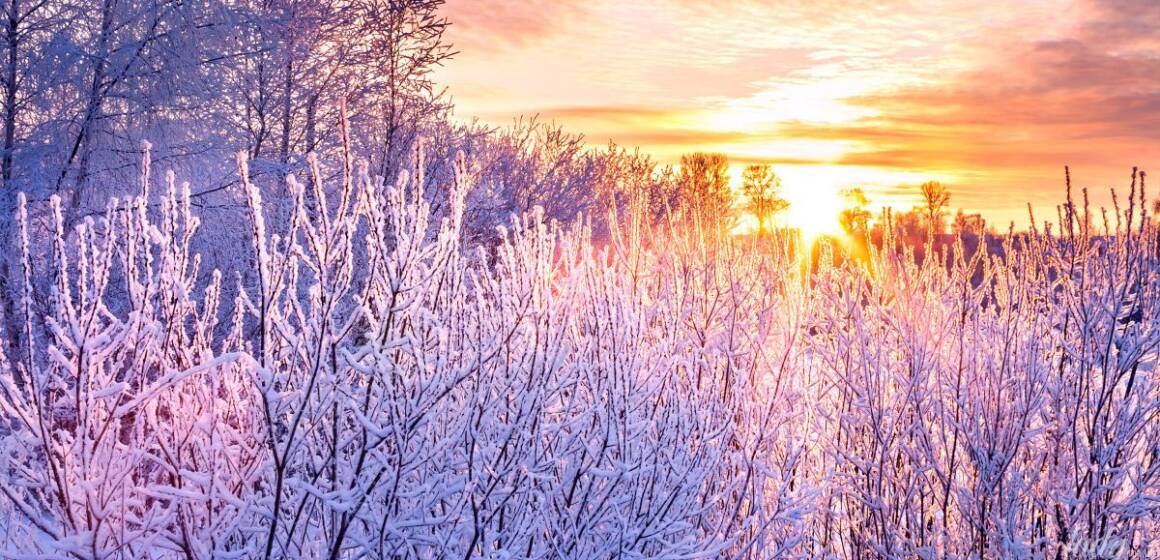 a5a96a612e0042a7d7f6613561f43660 Гороскоп для всіх знаків зодіаку на 9 січня 2026 року