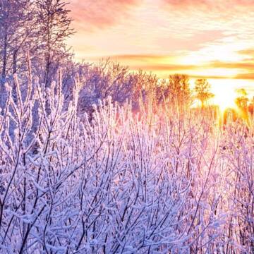 Гороскоп для всіх знаків зодіаку на 9 січня 2026 року