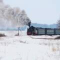 Гайворонська вузькоколійка відкриває сезон ретро-турів у 2026 році