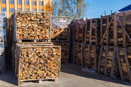 Скільки коштує один куб дров у січні 2026 року: офіційні ціни