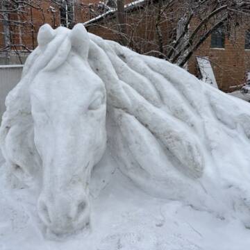 Військовий з Вінниччини створив снігову  скульптуру коня