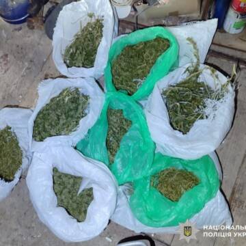 Поліцейські вилучили канабіс у жительки Вінниччини
