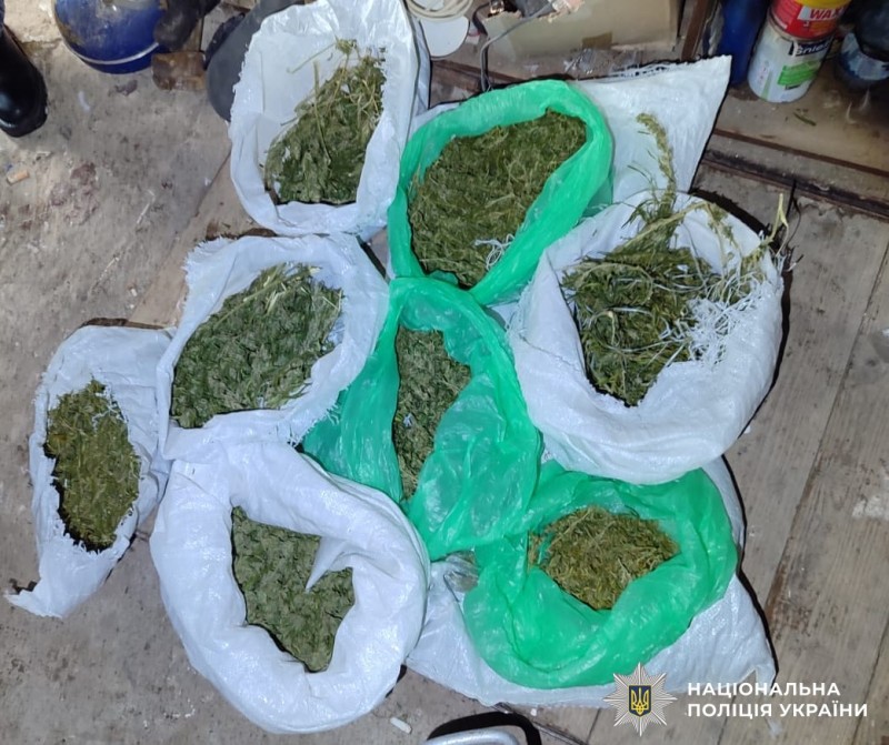 Поліцейські вилучили канабіс у жительки Вінниччини