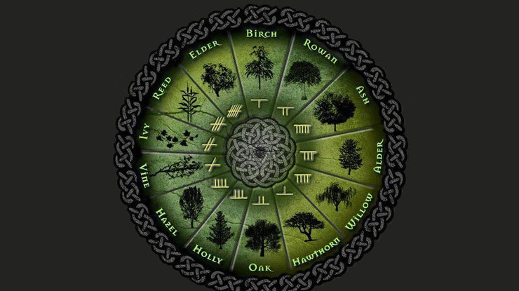 Кельтський гороскоп на 6 січня: день стабільності