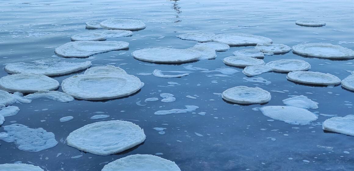 У Вінниці чоловік провалився під лід на Південному Бузі