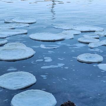 У Вінниці чоловік провалився під лід на Південному Бузі