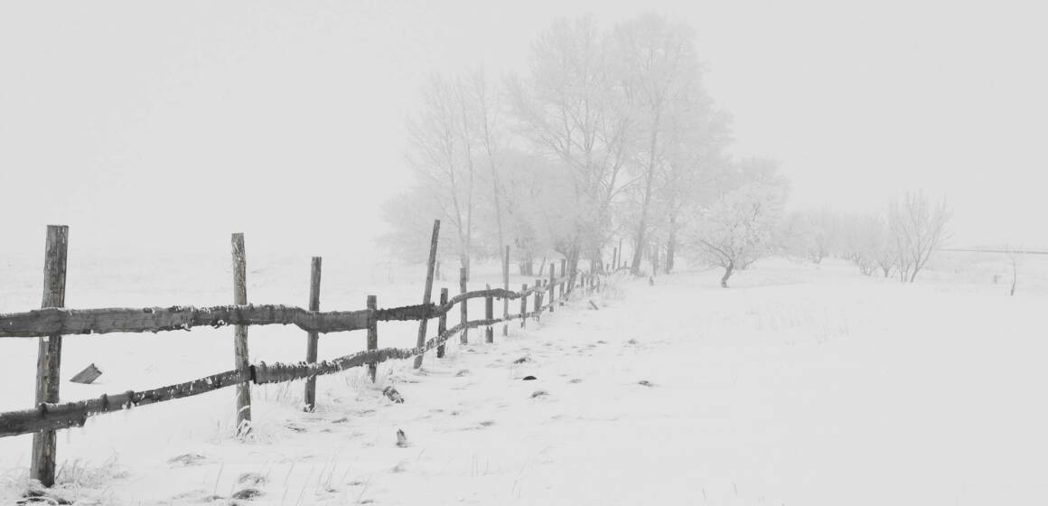 Похолодання та хуртовина. Погода на Вінниччині 9 січня