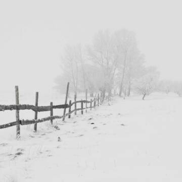 Похолодання та хуртовина. Погода на Вінниччині 9 січня