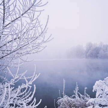 Вінницю огорнув густий туман, на дорогах – ожеледиця