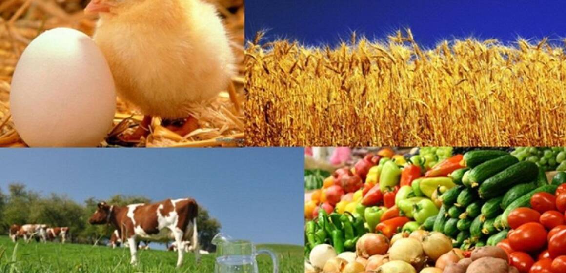 Понад 60 агровиробників Вінниці отримали фінансову допомогу міста