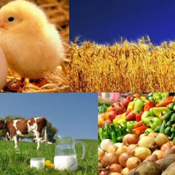 Понад 60 агровиробників Вінниці отримали фінансову допомогу міста