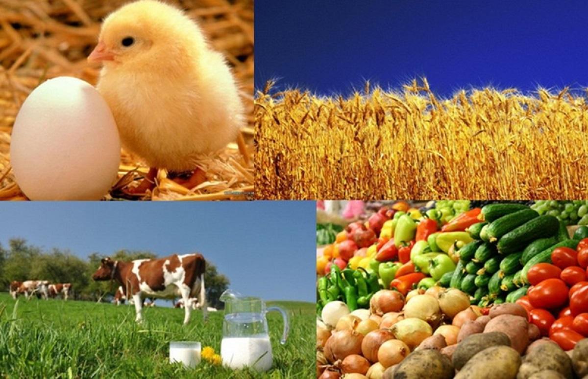 Понад 60 агровиробників Вінниці отримали фінансову допомогу міста