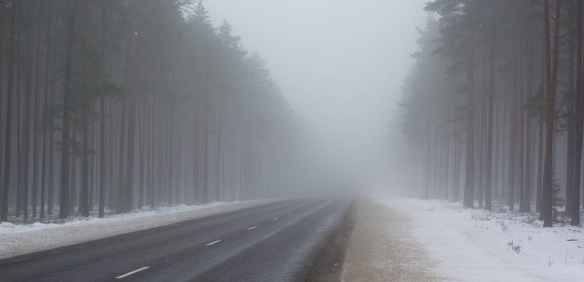 zima-moroz-sneg-les-derevya Вінниччину вкриє густий туман: ДСНС вводить жовтий рівень небезпеки