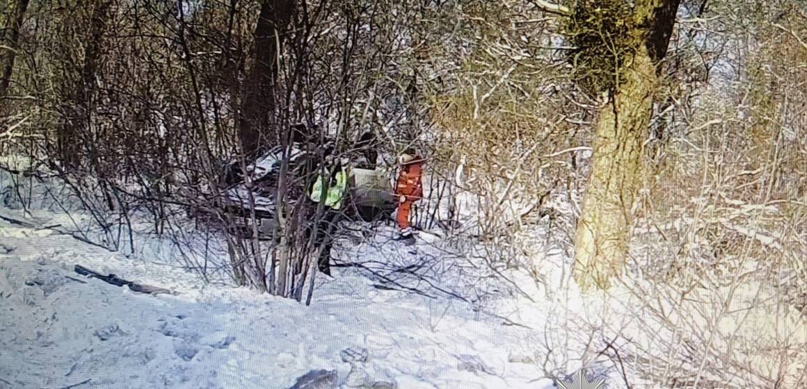 Офіцер громади допоміг пораненому військовому та його дружині після ДТП (відео)