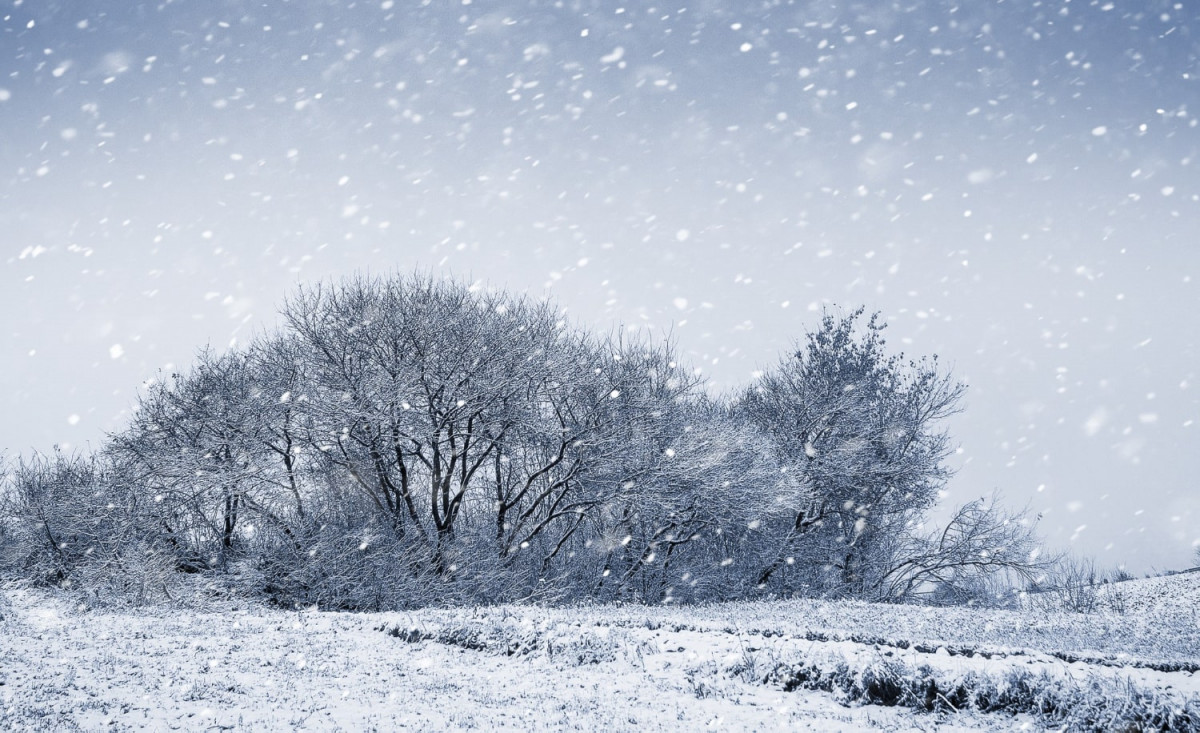 Мокрий сніг та ожеледиця: погода 5 лютого на Вінниччині