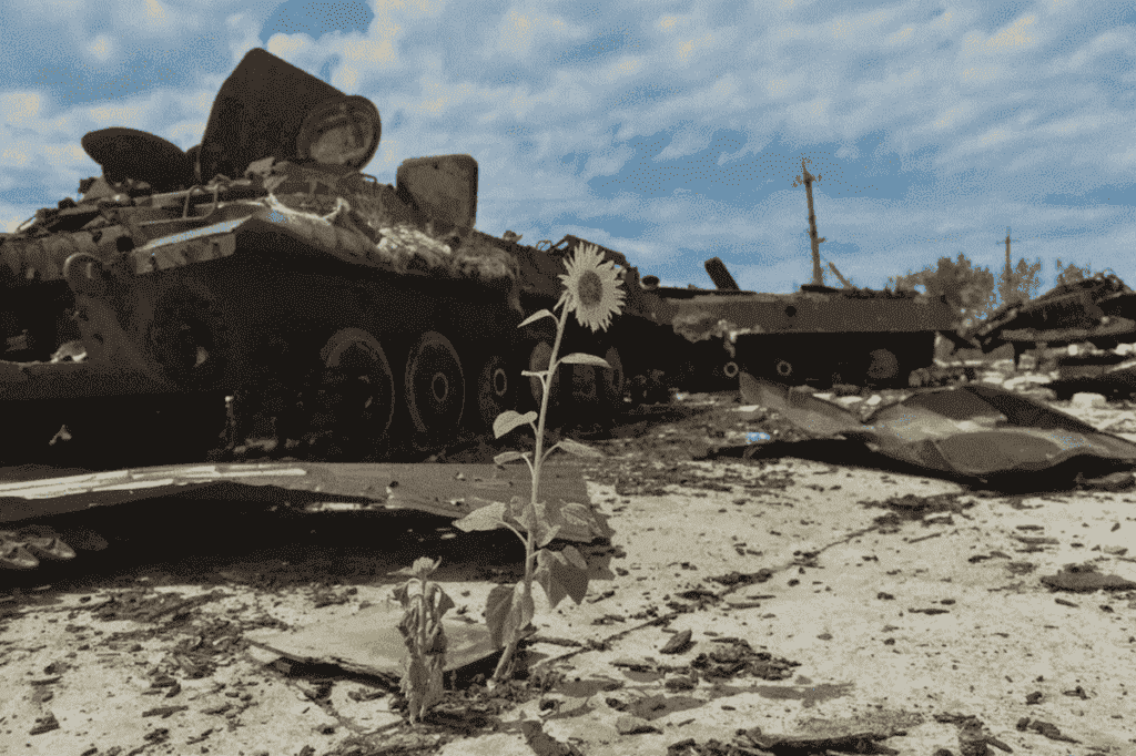 Екологічні збитки на Вінниччині у 2025 році перевищили 2,5 млрд гривень
