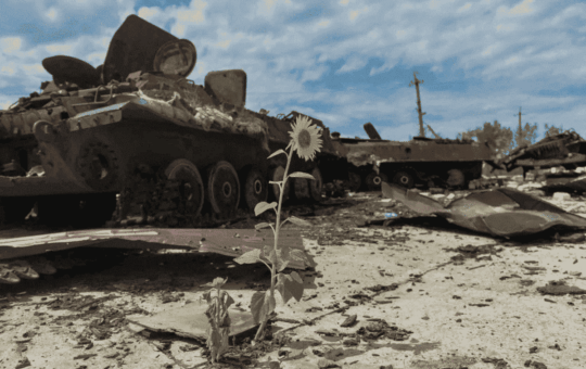 Екологічні збитки на Вінниччині у 2025 році перевищили 2,5 млрд гривень