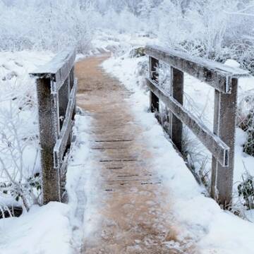 Гороскоп на 27 лютого: день рішучості, коли не можна звертати з обраного шляху