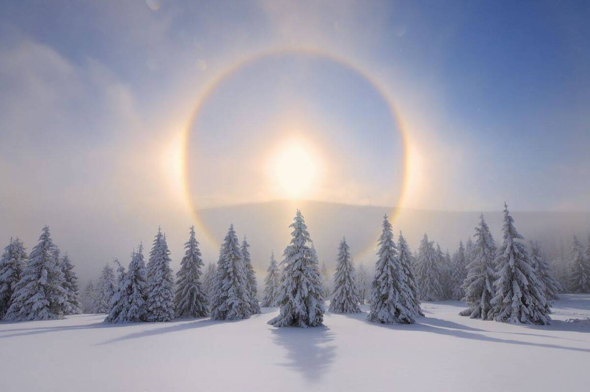 Що очікує кожного знака зодіаку 2 лютого