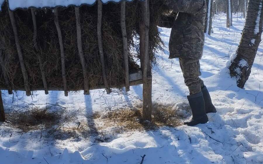 У «Кармелюковому Поділлі» підгодовують лісових мешканців