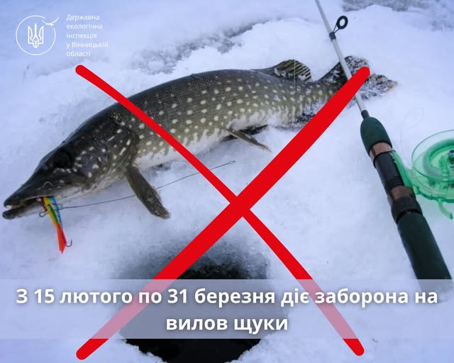 Сезон тиші: на Вінниччині ввели сувору заборону на вилов щуки