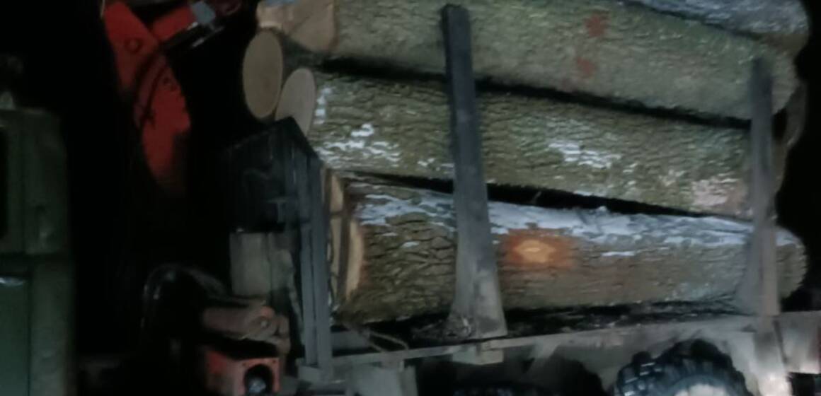 На Вінниччині викрили незаконне транспортування дубової деревини