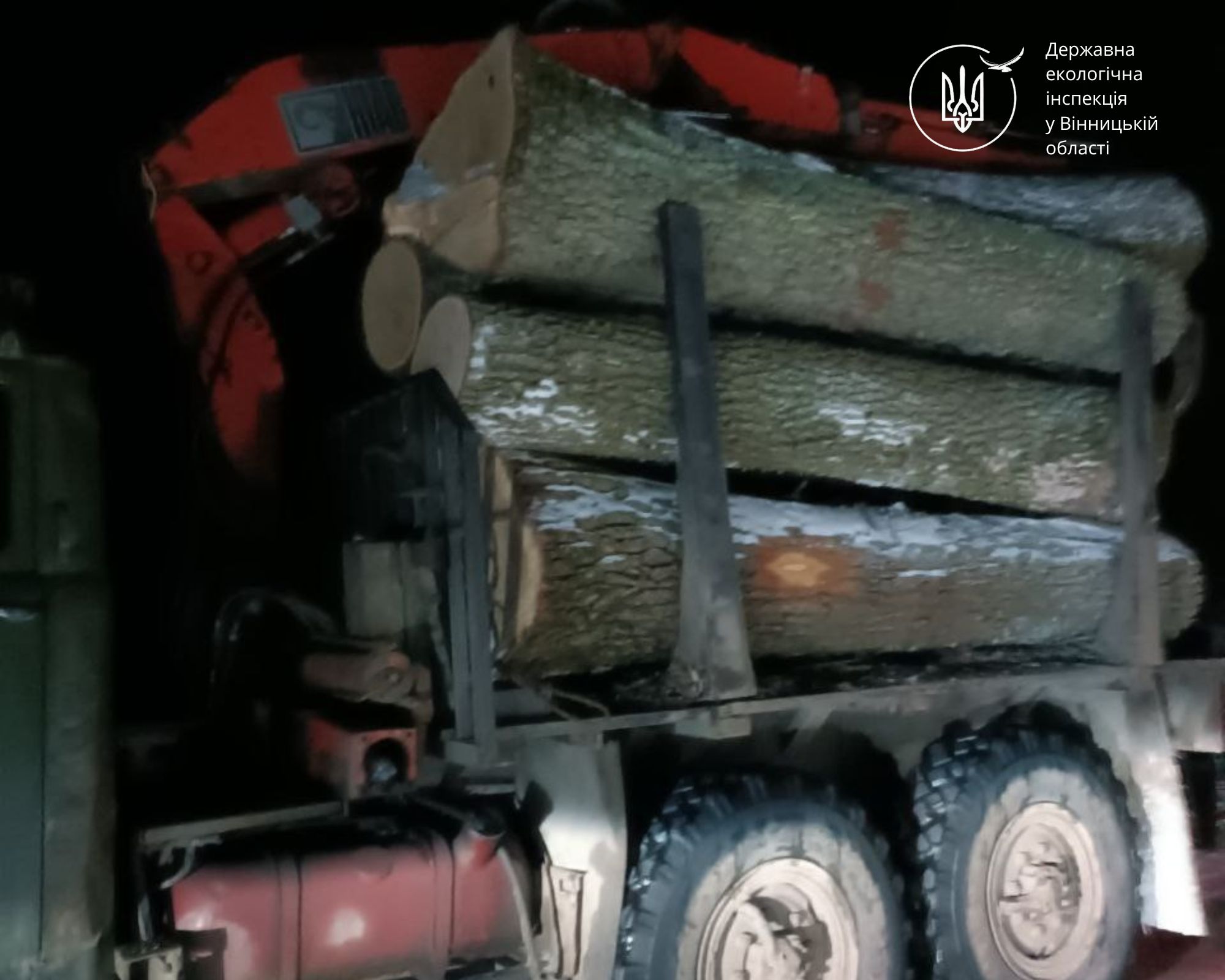 На Вінниччині викрили незаконне транспортування дубової деревини