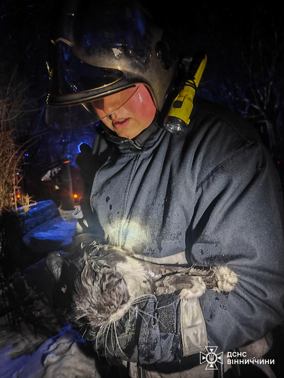 Врятували двох собак і кішку з палаючої квартири вінницькі вогнеборці