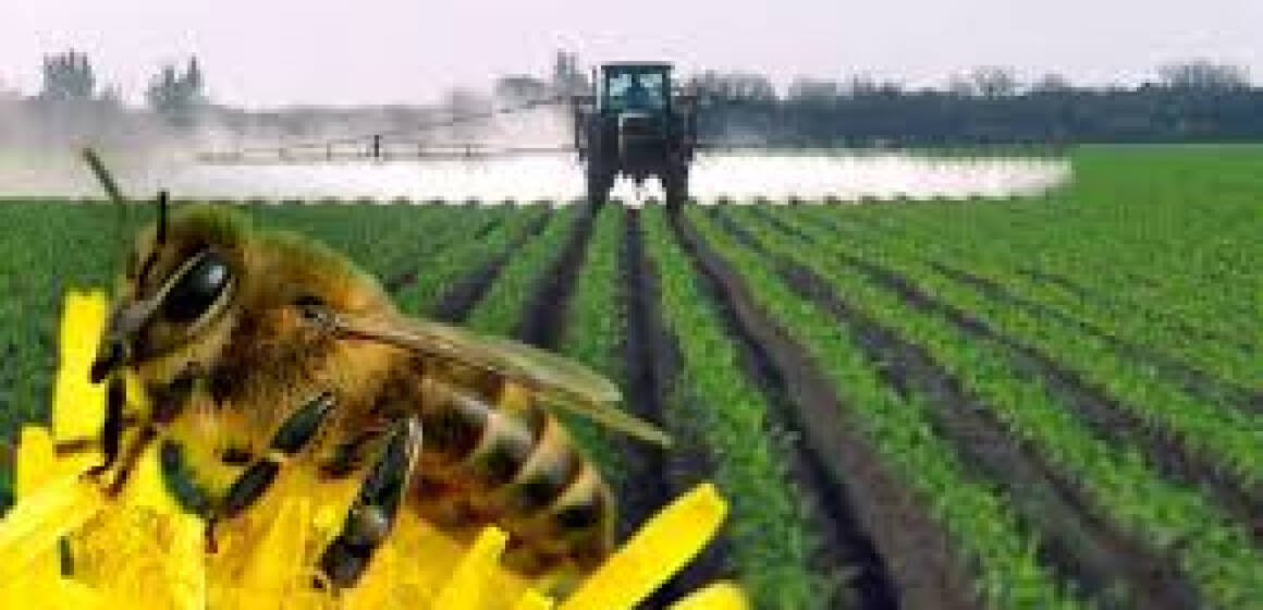 660eaadac5bda__images У Вінниці обговорили захист рослин та підтримку бджільництва